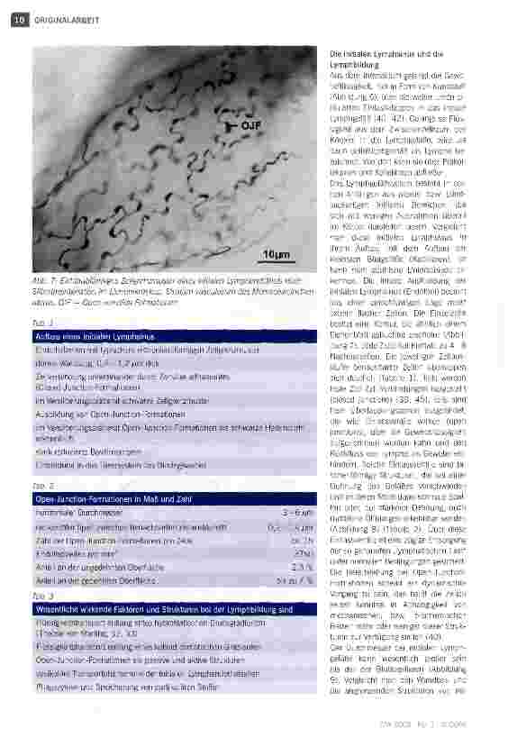 Vorschauseite 5: Bau und Funktion des Lymphgefäßsystems