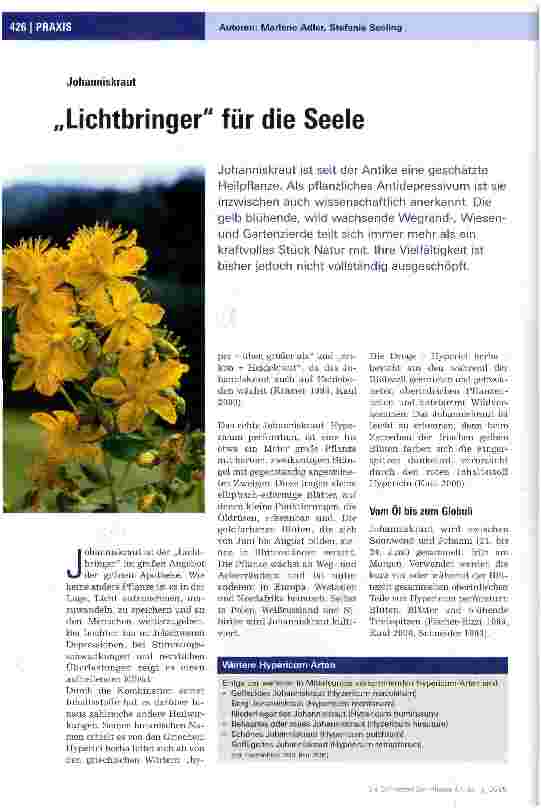 Vorschauseite 1: Lichtbringer für die Seele