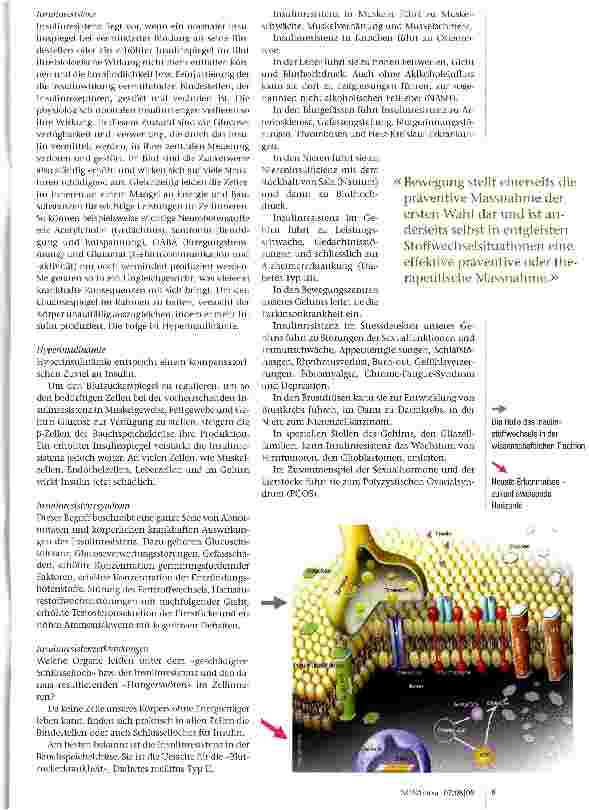 Vorschauseite 2: Zivilisationskrankheiten und Insulinresistenz