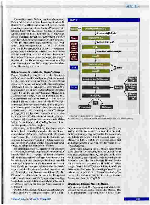 Vorschauseite 2: ÜBERSICHTSARBEIT Ursachen und frühzeitige Diagnostik von Vitamin-B12-Mangel