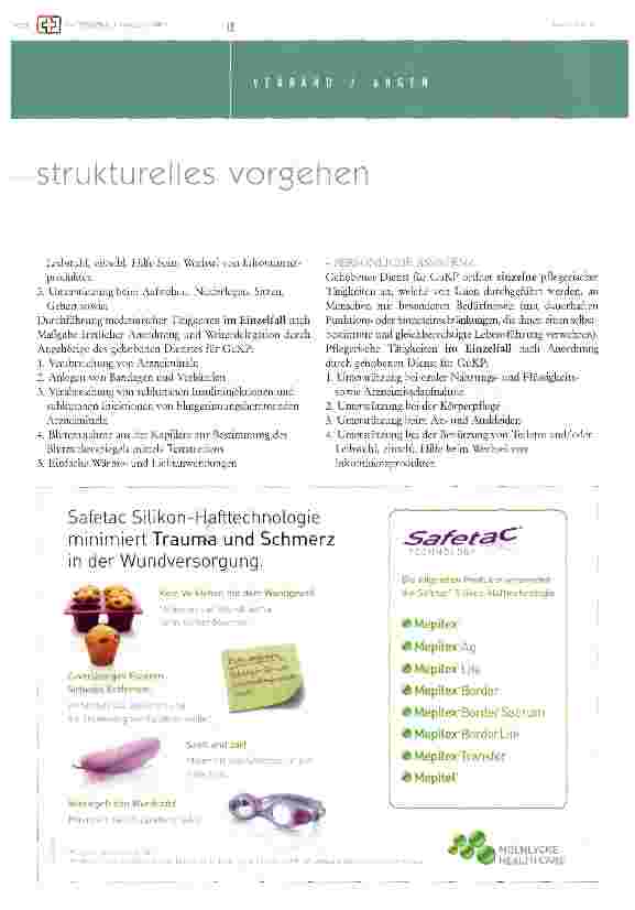 Vorschauseite 2: strukturelles vorsehen für dgks/dgkp im rahmen der 24-stunden-pflege und betreuung