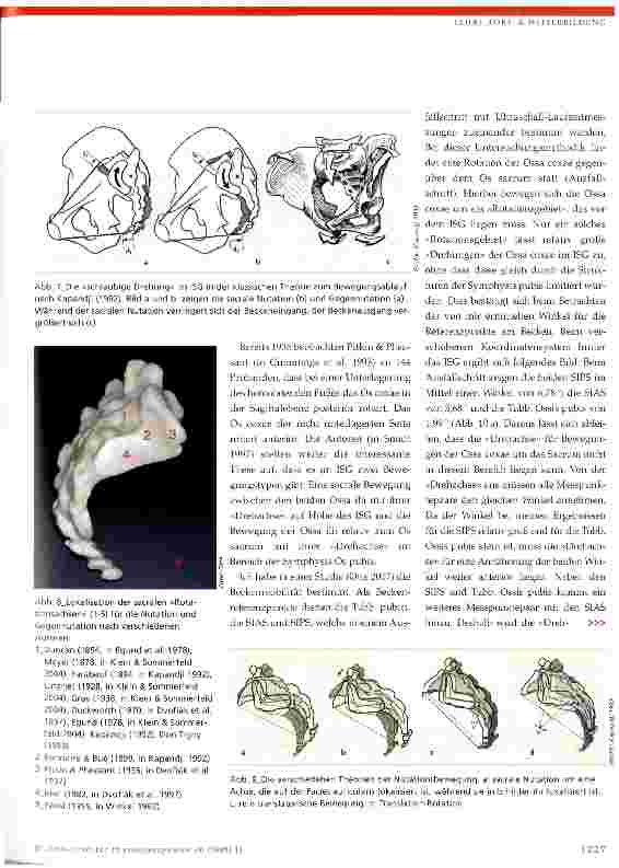 Vorschauseite 5: Das lliosacralgelenk (ISG)Biomechanik und Bewegungsphysiologie -Teil 2