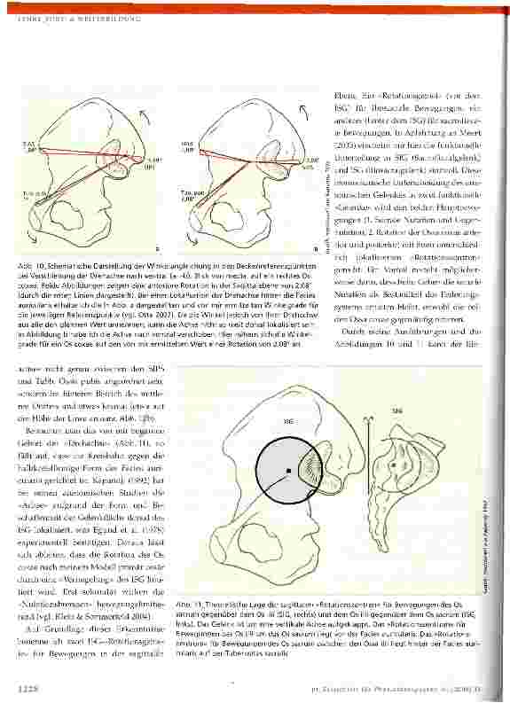 Vorschauseite 6: Das lliosacralgelenk (ISG)Biomechanik und Bewegungsphysiologie -Teil 2
