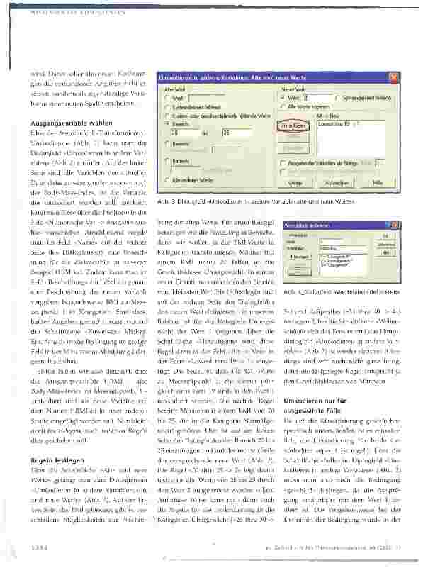 Vorschauseite 2: Umgang mit Statistikprogrammen