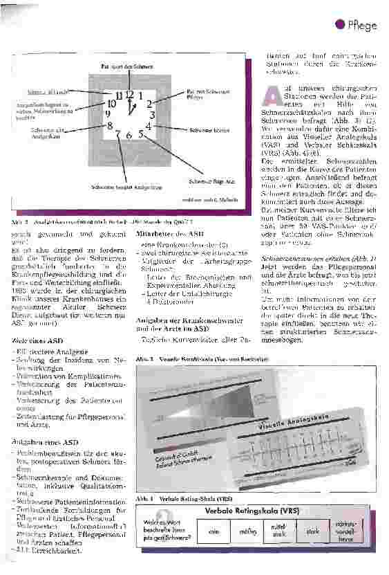 Vorschauseite 3: Schmerzmanagement in einer Chirurgischen Klinik (Teil 1)
