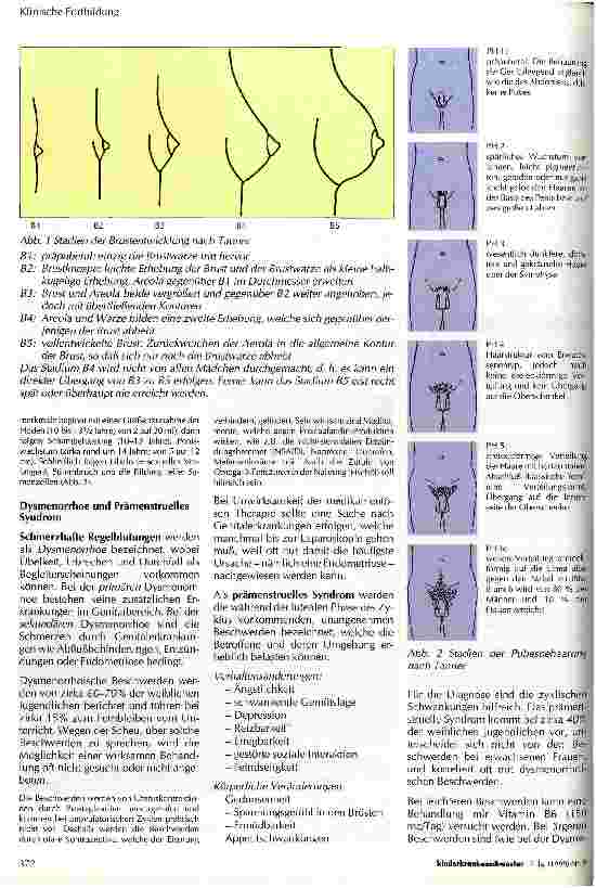 Vorschauseite 2: Pubertät und Adoleszenz