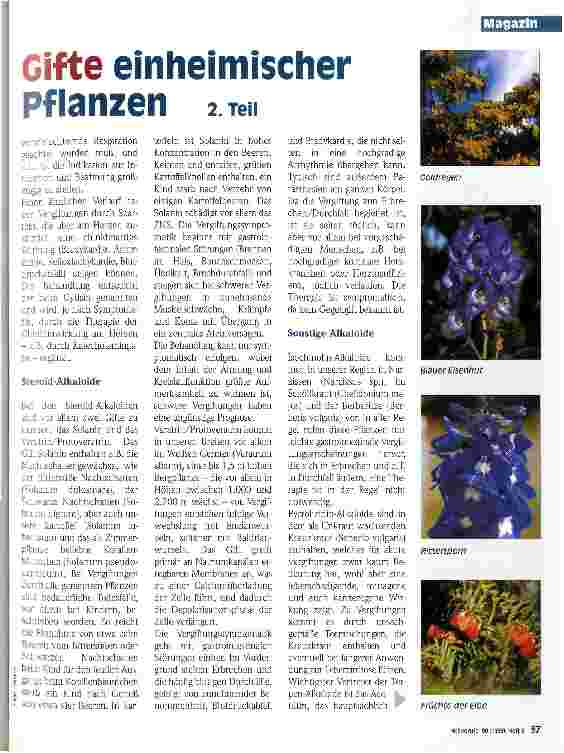 Vorschauseite 2: Gifte einheimischer Pflanzen 2. Teil