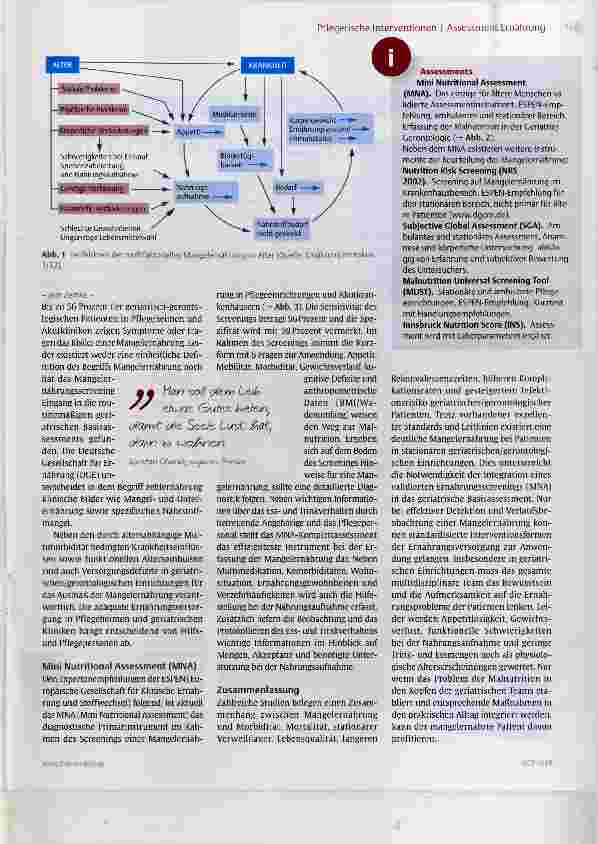 Vorschauseite 2: Geriatrisches Assessment Ernährung/Mangelernährung