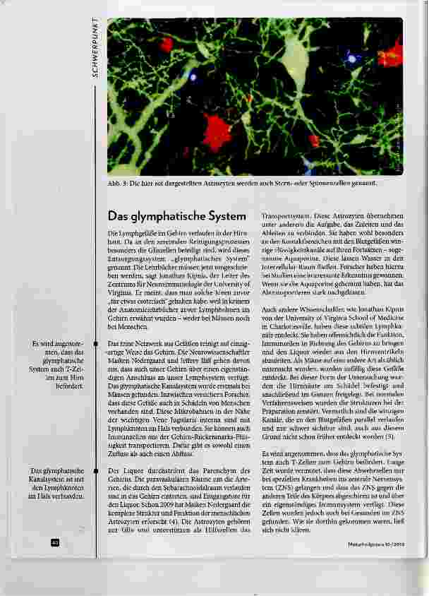 Vorschauseite 3: Das Gehirn gesund erhalten