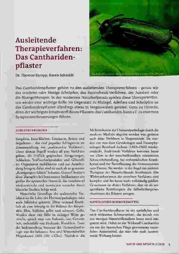 Vorschauseite 1: Ausleitende Therapieverfahren: Das Cantharidenpflaster