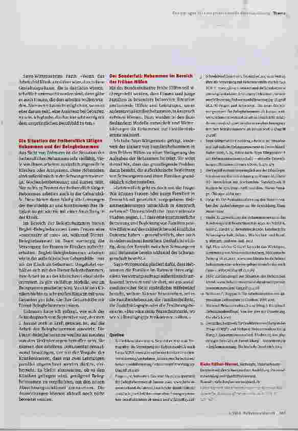 Vorschauseite 3: Was brauchen Hebammen für eine professionelle Berufsausübung?