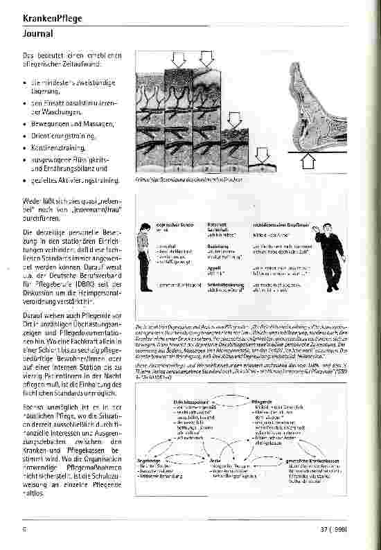 Vorschauseite 2: Dekubitus: Pflegemangel oder Krankheitsrisiko ?