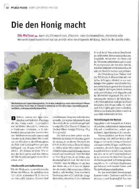 Vorschauseite 1: Die den Honig macht