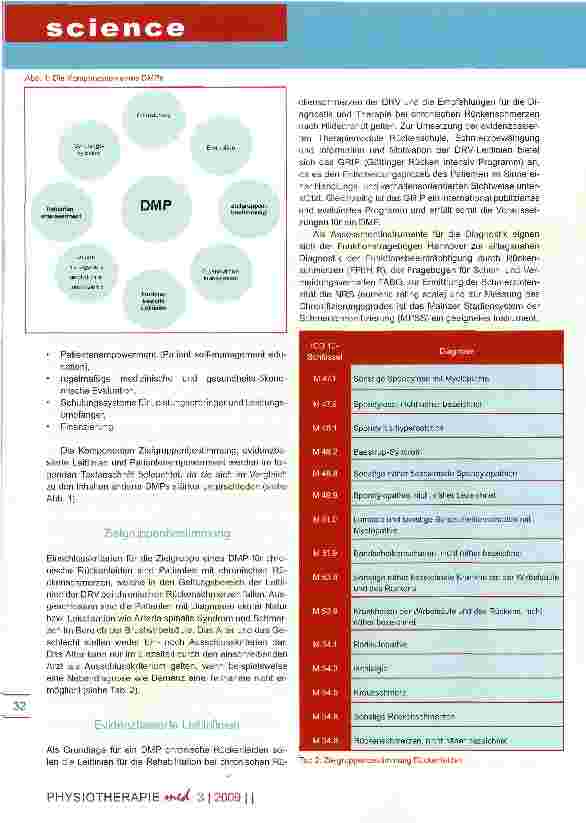 Vorschauseite 4: Konzept für ein Disease Management Programm bei chronischem Rückenleiden