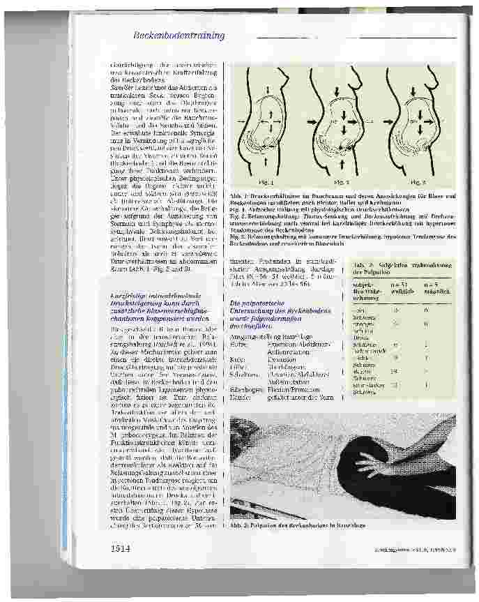 Vorschauseite 4: Funktionelles Beckenbodentraining in Kombination mit Elektrostimidation