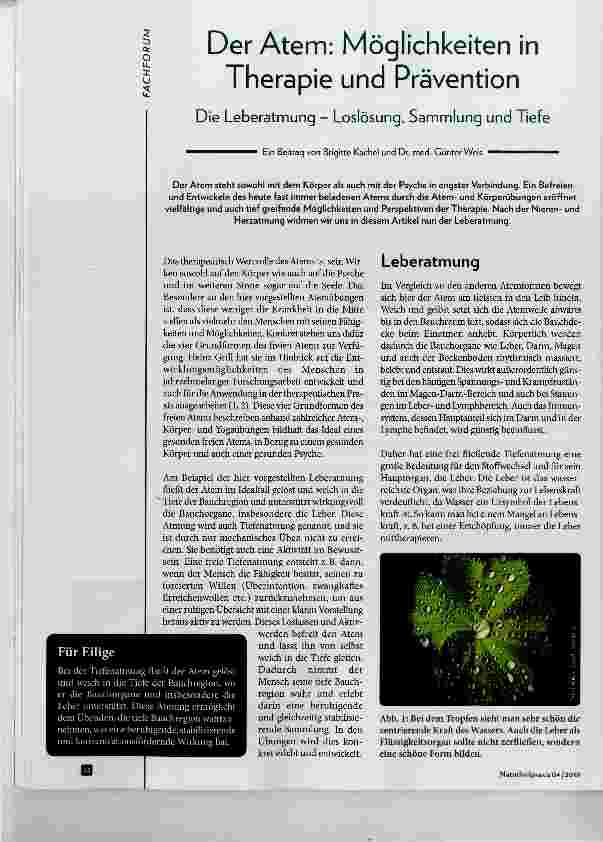 Vorschauseite 1: Der Atem: Möglichkeiten in Therapie und Prävention