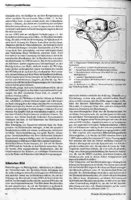 Vorschauseite 2: Bandscheibenschäden an der Halswirbelsäule