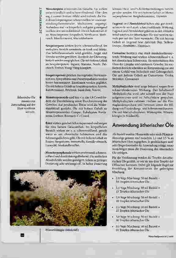 Vorschauseite 2: Ätherische Öle, Wickel und Auflagen