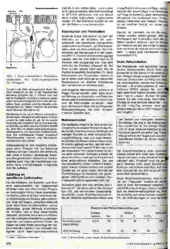 Vorschauseite 2: Akute Gastroenteritis