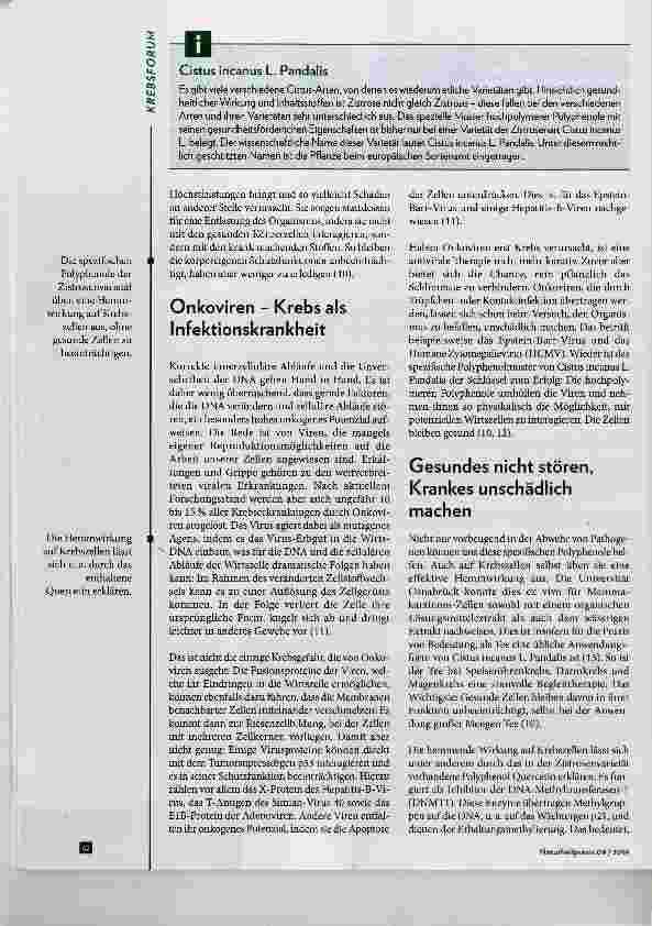 Vorschauseite 4: Krebs Wie die Natur schützt und nicht schadet