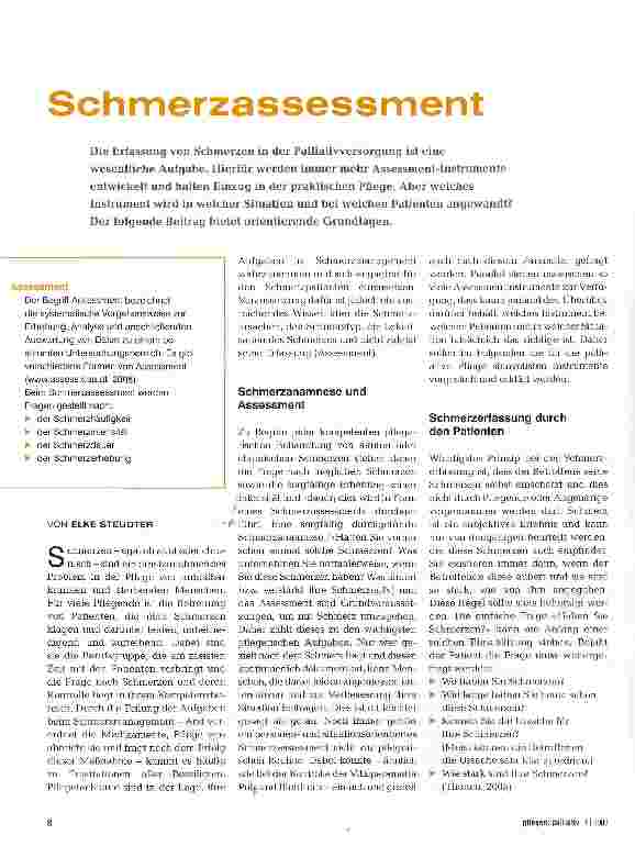 Vorschauseite 1: Schmerzassessment