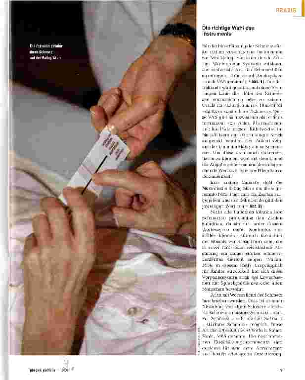 Vorschauseite 2: Schmerzassessment