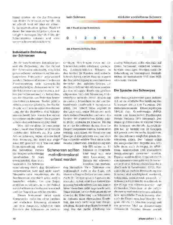 Vorschauseite 3: Schmerzassessment