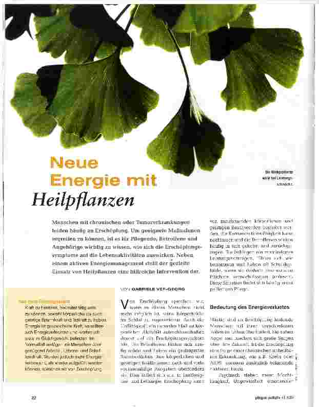 Vorschauseite 1: Neue Energie mit Heilpflanzen
