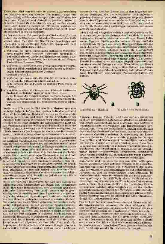 Vorschauseite 2: Vektoren, Reservoire und Naturherde