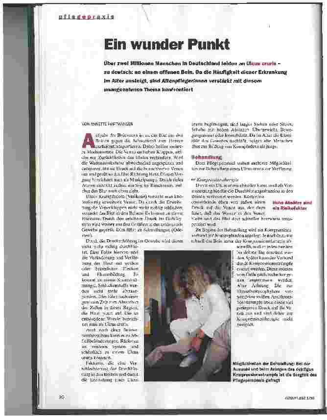 Vorschauseite 1: Ein Wunder Punkt