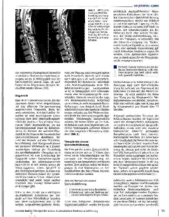 Vorschauseite 2: Therapie der akuten traumatischen Rückenmarkslähmung