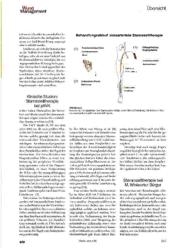 Vorschauseite 2: Stellenwert der Prostanoide und der Stammzelltherapie bei kritischer Extremitätenischämie