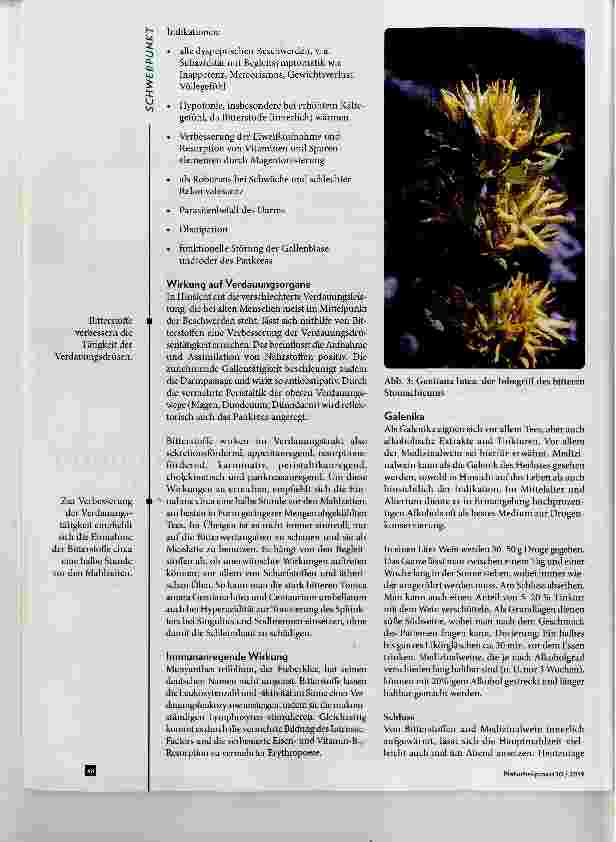 Vorschauseite 4: Bitterstoffe in der Geriatrie