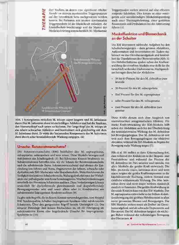 Vorschauseite 4: Schulterschmerz bei Humeruskopfhochstand