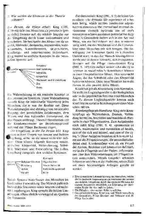 Vorschauseite 3: Eine professionelle Pflege braucht Krankenpflegetheorien
