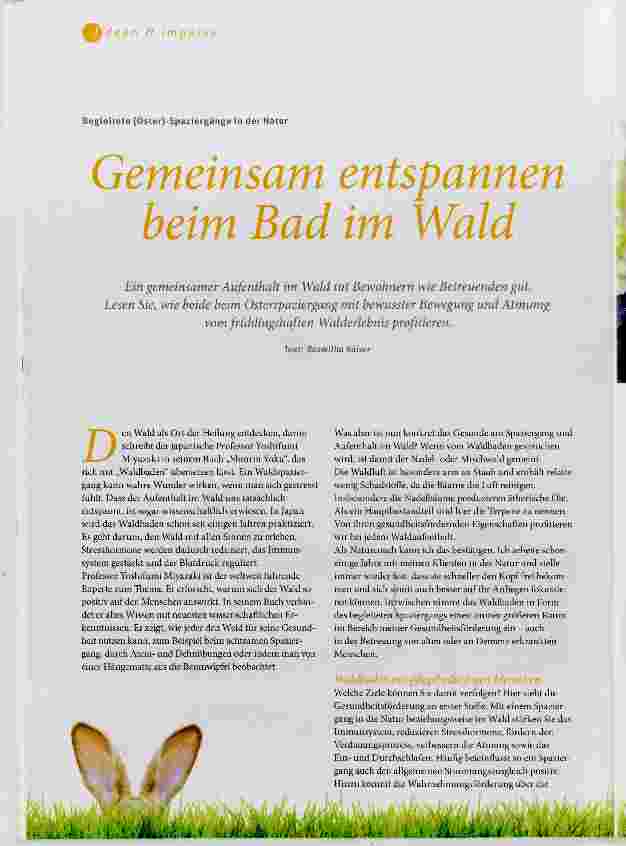 Vorschauseite 1: Gemeinsam entspannen beim Bad im Wald