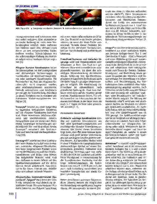 Vorschauseite 5: Hautersatz in der Verbrennungschirurgie