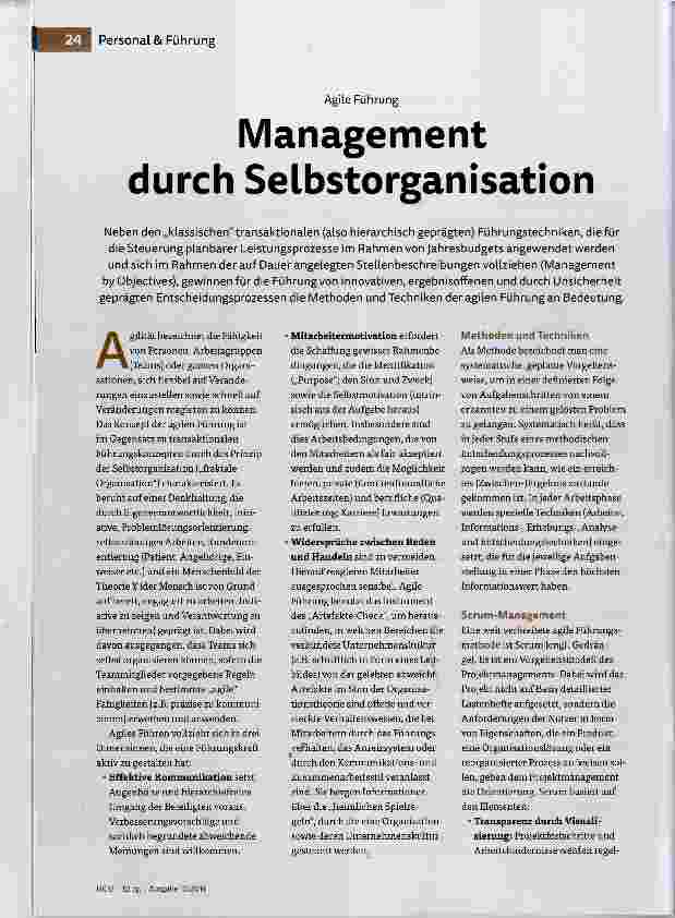 Vorschauseite 1: Management durch Selbstorganisation