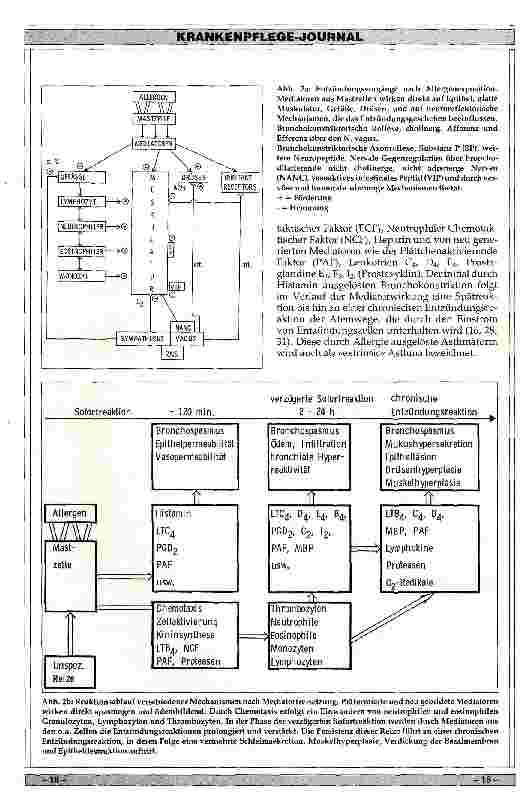 Vorschauseite 3: Asthma bronchiale im Kindesalter