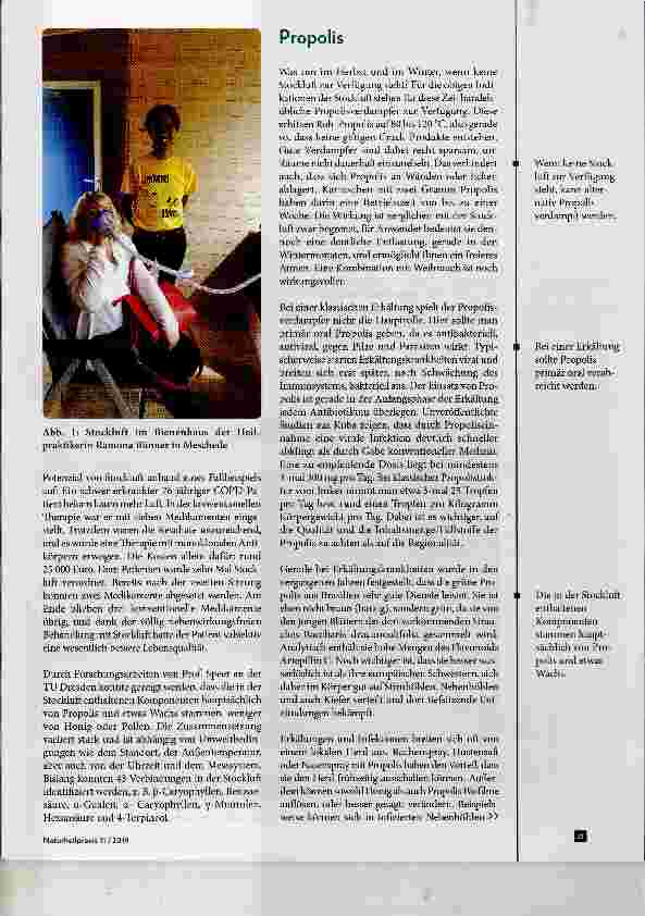 Vorschauseite 2: Apitherapie