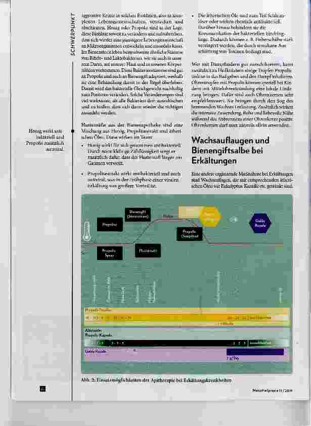 Vorschauseite 3: Apitherapie