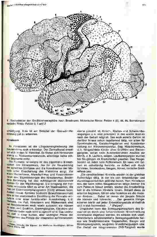 Vorschauseite 2: Anatomisch-physiologische Einführung