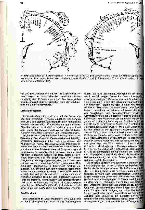 Vorschauseite 3: Anatomisch-physiologische Einführung
