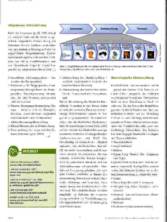 Vorschauseite 2: Whiplash Associated Disorder (WAD) -physiotherapeutische Untersuchung