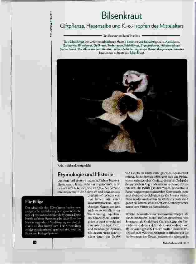 Vorschauseite 1: Bilsenkraut