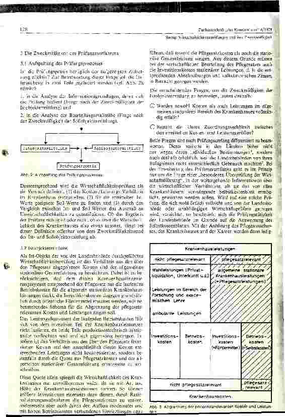 Vorschauseite 2: Wirtschaftlichkeitsprüfungen und ihre Zweckmäßigkeit