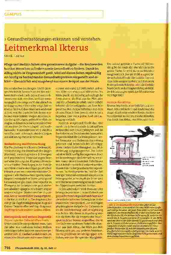 Vorschauseite 1: Leitmerkmal Ikterus