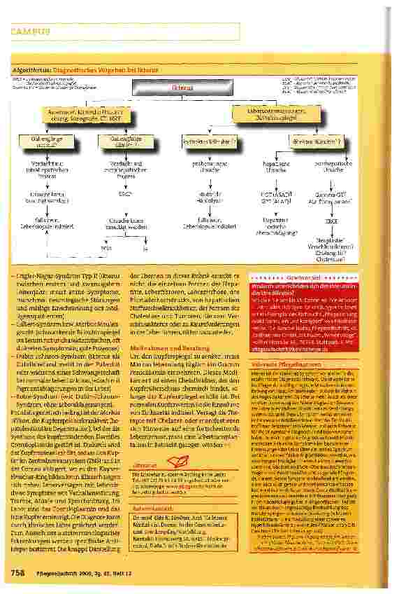 Vorschauseite 3: Leitmerkmal Ikterus