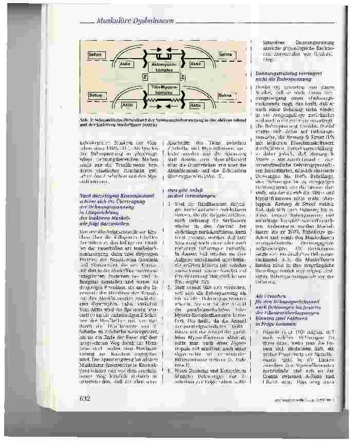 Vorschauseite 5: Filamentäre Quellen der Muskel-Ruhespannung und die Behandlung muskulärer Dysbalancen