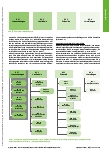 Vorschauseite 6: Occupational Science in der akademischen Ergotherapie-Lehre aus der Perspektive Studierender eines dualen Bachelorund eines konsekutiven Masterstudiengangs